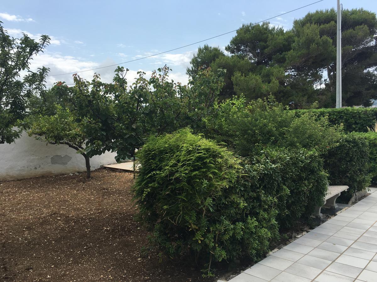 B&B La Muciara Valderice Εξωτερικό φωτογραφία
